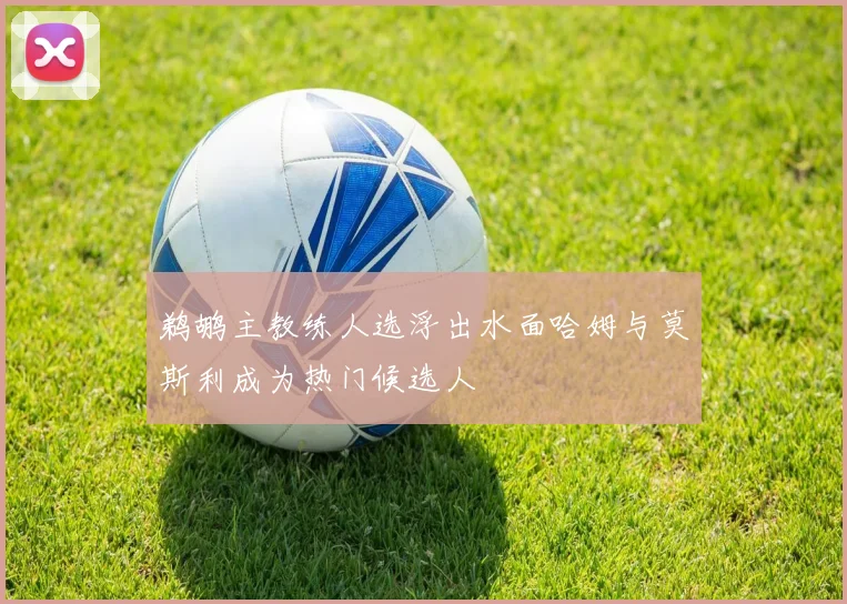 鹈鹕主教练人选浮出水面哈姆与莫斯利成为热门候选人
