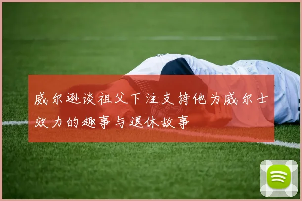 威尔逊谈祖父下注支持他为威尔士效力的趣事与退休故事